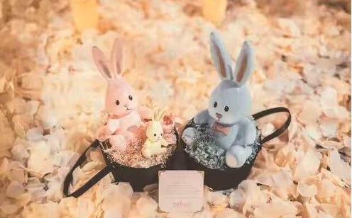 娱乐圈兔吃瓜,兔吃瓜事件揭秘