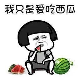 娱乐是个圈吃瓜