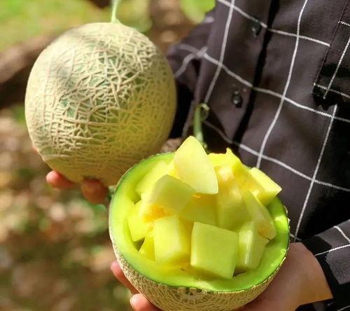 小超娱乐吃瓜,揭秘娱乐圈最新吃瓜事件